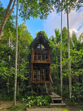 Parçalı bulutlu bir gökyüzünün altındaki yüksek ağaçların arasında canlı yeşillik ve sükunetle kaplı büyüleyici bir ahşap ev ortaya çıkar. Ziyaretçiler ormandaki sakin atmosferin tadını çıkarıyorlar.