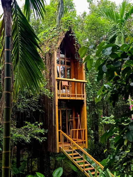 Çarpıcı bir ahşap ağaç ev, tropikal yaprakların arasında zarafetle duruyor. Bu sıra dışı geri çekilme gösterileri karmaşık tasarım, yağmur ormanlarında doğa ve mimariyi harmanlıyor.