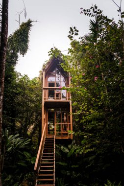 Canlı yeşilliklerin arasında, büyüleyici bir ağaç ev dimdik ayakta duruyor, gezginleri büyüleyici güzelliğini keşfetmeye davet ediyor..