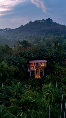 Alacakaranlıkta ormanın sakin ormanlarında, eşsiz bir ahşap geri çekilme, canlı tropikal yaprakların arasında sıcak bir şekilde parlar, doğada huzur ve rahatlamaya davet edilir..