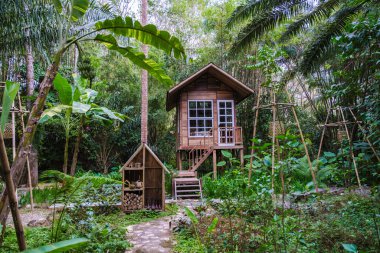 Huzurlu bir ortamda, büyüleyici bir ahşap kulübe canlı tropikal yaprakların arasında durur, güneş ışığı palmiye yapraklarının arasından süzülerek orman yağmur ormanlarındaki sakin atmosferi artırır.