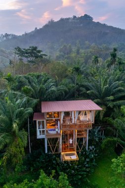 Yükselen palmiyelerin arasında yuva yapmış büyüleyici bir ağaç evi yağmur ormanları ormanlarındaki uzak tepelerin nefes kesici manzaralarını sunuyor.