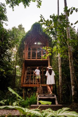 Canlı yeşilliklerin arasına yerleşmiş bir çift, doğal çevrelerini keşfederken bir bambu inzivasının huzurunun tadını çıkarıyor. Büyüleyici atmosfer rahatlamayı ve macerayı davet ediyor..