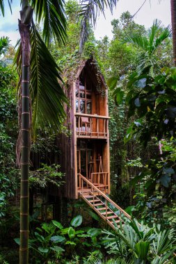 Canlı yeşilliklerle çevrili bu büyüleyici ağaç ev doğada büyüleyici bir deneyim sunuyor. Ahşap yapısı ormanla uyumlu bir şekilde harmanlanır, macera ve rahatlamaya davetiye çıkarır..