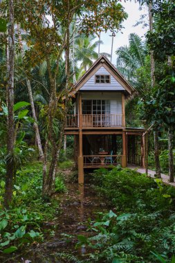 Canlı yeşilliklerin arasına yerleştirilmiş bu büyüleyici ahşap ev huzurlu bir kaçış sunuyor. Yeşillik bitkiler ve yükselen ağaçlar dingin bir atmosfer yaratıyor, rahatlama ve yansıma için mükemmel..