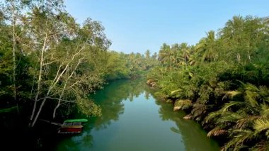 Chumphon Thailand 'ın sakin cazibesini canlı yeşillik sakin bir nehri kucaklarken, huzur ve yansıma anlarını yaşayın. Ormandaki nehir yağmur ormanları
