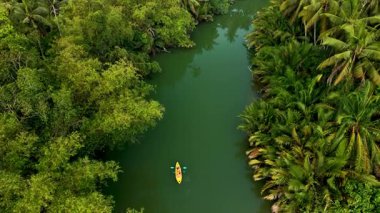 Chumphon, Tayland 'ın sakin sularında canlı yeşillik ve vahşi yaşamla çevrili bir kano kürek. Bu manzaralı cennette kanoyla dolaşırken doğanın huzurunu hissedin..