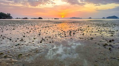 Krabi Tayland 'da güneş ufukta batarken batan ışıkta gelgit havuzları parlıyor. Huzurlu manzara yumuşak renkleri yansıtır, deniz kıyısındaki keşif ve sükuneti davet eder..