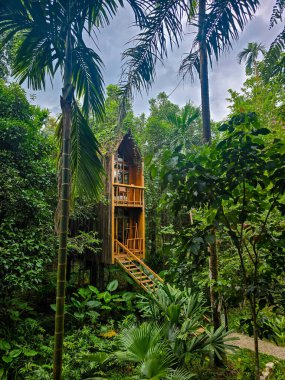 Orman yağmur ormanlarındaki yoğun tropikal yaprakların arasında çarpıcı bir ahşap yapı yükseliyor. Alan canlı yapraklarla çevrili ve yükselen palmiyeler doğayla olan bağlarını ve sükunetini sunuyor..