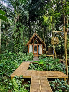 Canlı yeşilliğin içine yerleştirilmiş sakin, ahşap bir kulübe rahatlamaya davetiye çıkarır. Etrafı tropikal bitkilerle çevrili bu cennet doğa ve barışı teşvik ediyor. Kaçış için mükemmel bir yer..