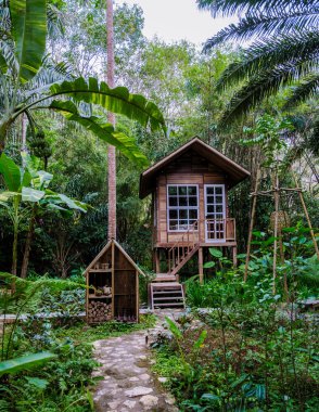 Canlı tropikal yaprakların arasına yerleşmiş büyüleyici bir ahşap ev huzurlu bir kaçış sunuyor. Bu dingin nokta rahatlamaya davet ediyor, doğa aşıklarını rahatlamaya ve güzelliğini keşfetmeye davet ediyor..