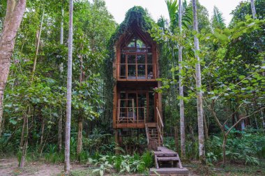 Tropikal bir cennette geçen bu iki katlı ağaç evde canlı yeşilliklerle çevrili ahşap mimari sergileniyor. Açık tasarımı doğayı modern rahatlıkla harmanlıyor, rahatlatıyor..