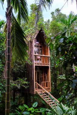 Yağmur ormanlarının kalbine yerleşmiş bu büyüleyici ahşap ağaç ev huzurlu bir geri çekilme sunuyor. Canlı yeşilliklerle çevrili olan bu bitki, rahatlamayı ve doğayla bağlantıyı davet eder..