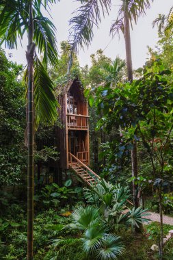 Canlı bir yaprağın içine yerleştirilmiş, büyüleyici bir ağaç ev, cennet gibi ıssız bir araziyi işaret ediyor. Sakin bir sabah kahvesi için mükemmel bir dinlenme yeri ya da yağmur ormanlarındaki doğa arasında akşam yansımaları için.