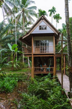 Yüksek palmiye ağaçları ve canlı yaprakların arasına yerleşmiş, rahat bir ahşap ev, sakin bir manzarada rahatlamaya davet ediyor. Misafirler, doğayla çevrili geniş verandada huzurlu anların tadını çıkarırlar..