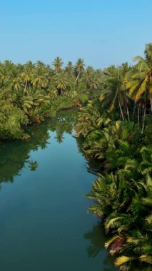 Chumphon Tayland 'da huzur içinde yüzmek, zengin yeşillikleri, sakin suları ve bereketli manzaraları tecrübe etmek. Doğanın sakinliği palmiye ağaçlarının nazik yansımalarıyla yakalanır.
