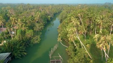 Chumphon, Tayland 'ın göbeğinde yer alan bu nefes kesici manzara canlı yeşillik ve sakin su yollarını sergiliyor. Yağmur ormanlarında bir nehir.