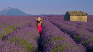 Fransa 'nın Provence kentindeki canlı lavanta tarlalarında dolaşın. Güneş çarpıcı bir renk gösterisiyle batıyor. Huzurlu atmosferi ve çevrenizdeki doğanın özünü hissedin..