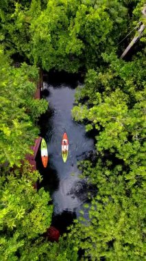 Krabi Tayland 'da canlı mangrovlarla çevrili sakin sularda süzülen kayakçılar gibi huzurlu bir macera yaşayın. Doğanın güzelliği, parlak gökyüzünün altında her yöne doğru açılır..