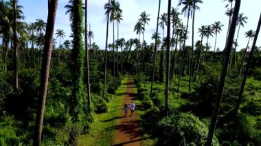 Koh Mak Tayland 'da el ele yürümek, yüksek hindistan cevizi ağaçlarıyla dolu nefes kesici manzaraları gözler önüne seriyor..