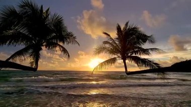 Güneş Koh Kood Adası 'nda ufkun altına batarken nefes kesici ana tanık olun. Sakin dalgalar yavaşça kıyıya vururken gür palmiye ağaçları canlı gökyüzünü çerçeveliyor..