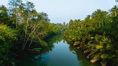 Güneş yemyeşil kanopi boyunca yavaşça yükselirken Chumphon Tayland 'daki yumuşak sular canlı yaprakları yansıtıyor. Büyüyen palmiye ağaçları ve sakin doğayla çevrili bir kano sessizce dinlenir..
