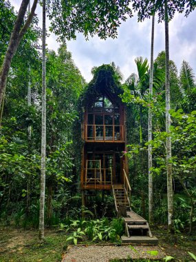Tayland 'da yeşil yapraklarla çevrili uzun ağaçlar arasında sihirli bir ağaç ev zarif bir şekilde duruyor. Eşsiz mimari doğayla uyum içinde, keşif ve rahatlamaya davetiye çıkarıyor..