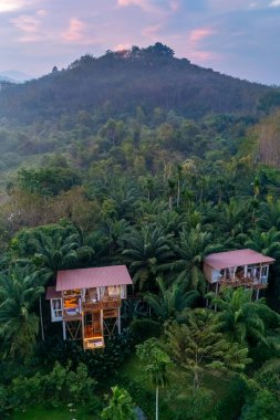 Yoğun yeşillikler arasında yer alan eşsiz ağaç evleri, orman yağmur ormanlarında huzurlu bir kaçış sunuyor. Bu huzurlu ortam, gün batımında doğanın güzelliği arasında rahatlamaya davetiye çıkarır..
