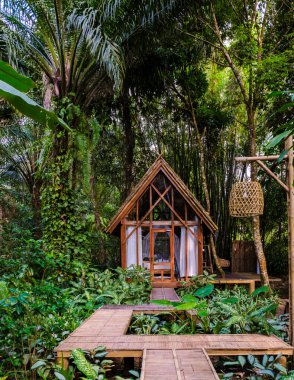 Canlı bir bitki örtüsünün içinde büyüleyici bir bambu kulübe yapısı sıcak ahşap çekiciliğiyle bizi çağırıyor. Orman yağmur ormanlarında ağaç ev