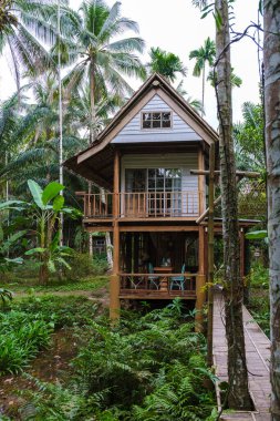 Canlı yeşilliklerin arasına yerleşmiş büyüleyici ahşap bir ev, yüksek palmiyeler ve zengin eğreltiotlarıyla çevrili, rahat bir dinlenme ve ormandaki keşifleri davet eder.
