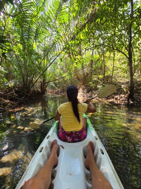 Krabi Tayland 'ın yemyeşil mangrovlarında sessizce kürek çeken bir kadın, sakin atmosfer keşfi davet eder. Güneş ışığı canlı yaprakların arasından süzülür.