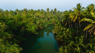 Zengin palmiye ağaçları ve yoğun yapraklarla çevrili sakin bir nehir Chumphon Tayland 'da canlı bir ekosistem boyunca akar ve doğanın güzelliğini keşfetmeye ve takdir etmeye davet eder..