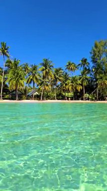 Koh Kood Adası Tayland 'ın çarpıcı turkuaz sularını ve gür palmiye ağaçlarını tecrübe edin.