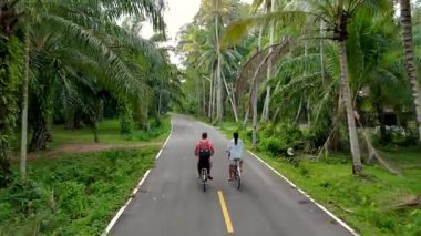 İki bisikletçi, Chumphon Tayland 'da manzaralı bir yolda huzurlu bir yolculuğun tadını çıkarıyor. Canlı palmiye ağaçları ve yemyeşil bitki örtüsüyle çevrili doğanın güzelliğini kucaklarlar..