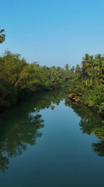 Tayland 'da canlı yeşilliklerle çevrili dolambaçlı bir nehrin dingin güzelliğini keşfedin. Yansıtıcı sular ve barışçıl bir atmosfer Chumphon 'daki orman yağmur ormanlarında davetkâr bir kaçış yaratır.