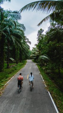 Chumphon, Tayland 'da sakin bir yolda bisiklet süren iki arkadaş, sakin bir ortamın tadını çıkarıyor. Yükselen palmiye ağaçları, sakin maceralarında gülüşlerini paylaştıkları canlı bir tepe örtüsü oluşturur..