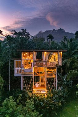 Titrek palmiye ağaçlarının arasında, güneş Bali 'de batarken göz kamaştırıcı bir ağaç ev ışıldıyor. Bereketli bitki örtüsü güzel tasarlanmış yapıyı çerçeveler. Rahatlamak için huzurlu bir cennet yaratır..