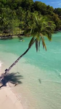 Tayland 'da sakin bir tropikal plajın atmosferini hissedin. Turkuaz sular yavaşça kıyıya vururken meltemde bir palmiye ağacı sallanıyor, Koh Kood Adası 