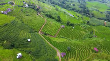 Chiang Mai, Tayland 'ın nefes kesici pirinç tarlalarında dolaşın. Canlı yeşil teraslar keşifleri davet eder. Bu huzurlu yerde kırsal yaşamın sükunetini ve güzelliğini tecrübe edin..