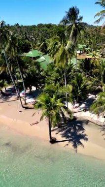 Tayland 'daki sakin plajlarda palmiye ağaçları ve kristal berrak sular sergileniyor, rahatlama ve keşifleri teşvik ediyor. Tropikal manzara güneş arayanlar için mükemmeldir. Koh Kood Adası