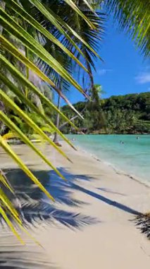 Yumuşak kumlu kıyıya yumuşak dalgalar çarpar palmiye ağaçları ılık esintide sallanırken. Koh Kood Tayland 'daki pikoresk bir plajın turkuaz sularında gün ışığı dans ediyor..