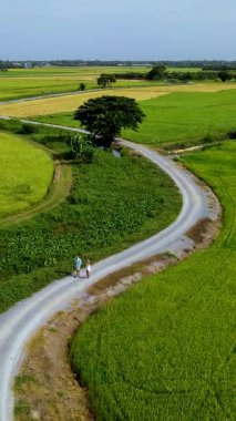 Chiang Mai 'nin sakinliğini keşfedin. İki kişi yeşil pirinç tarlalarında dolambaçlı bir yolda yürürken. Kendinizi Tayland 'daki doğanın ve kırsal yaşamın güzelliğine bırakın..
