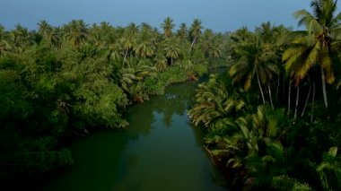 Tayland 'ın sakin tropikal manzarası canlı yeşilliği yansıtan sakin bir nehri yansıtır. Uzun palmiye ağaçları ve yoğun yapraklar temiz bir gökyüzünün altında huzurlu bir vaha oluşturur..