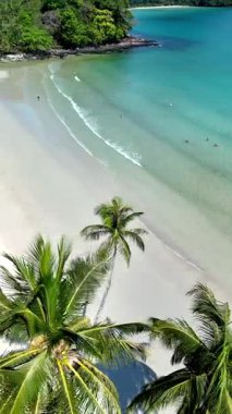 Kristal berrak sular, Koh Kood Adası Tayland 'ın yumuşak kumlu kıyılarına nazikçe çarpar. Bereketli palmiye ağaçları rüzgarda sallanıyor, güneşin altında rahatlamak ve macera yaşamak için tropik bir cennet yaratıyor..