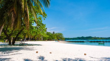 Tayland 'daki Koh Kham Adası' nda el değmemiş beyaz kumlu sahilleri ve kristal berrak suları keşfedin. Sıcak güneşin, bereketli palmiye ağaçlarının ve mükemmel bir kaçış için canlı doğal güzelliğin tadını çıkar..