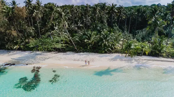 Tayland 'daki Koh Kood Adası' nın bu çarpıcı hava görüntüsü el değmemiş plajını ve gür palmiye ağaçlarını sergiliyor. Rahatlamanın güzellikle buluştuğu mükemmel bir tropikal kaçışı simgeliyor.