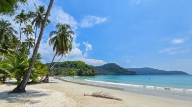 Tayland 'daki Koh Kood Adası' nın çarpıcı sahillerinde rahatlayın. Altın kumların üzerinde sallanan palmiye ağaçları. Yumuşak dalgalar, canlı mavi gökyüzünün altında kumsalı sarıyor..