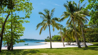 Tayland 'daki Koh Kham Adası' nın sakin güzelliğini tecrübe edin. Temiz mavi gökyüzünün altında el değmemiş beyaz kumların turkuaz sularla buluştuğu yer. Sallanan palmiyelerin ve yemyeşil çiçeklerin arasında rahatla..
