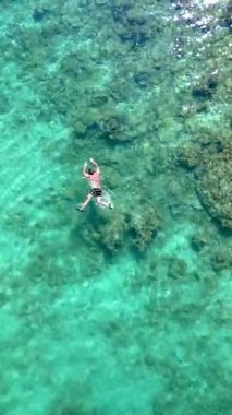 Koh Kood Adası 'nın turkuaz sularında bir şnorkelçi süzülürken canlı sualtı manzarasını keşfedin. Güneş mercan oluşumlarından yansıyarak çarpıcı bir su halısı oluşturur..