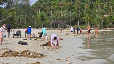 Koh Kood, Tayland, 13 Mart 2025, bir grup gönüllü kumlu sahili temizlemek için güzel kıyılarda toplanıyor, sahilden ve okyanustan çöp ve plastik topluyor.